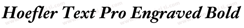 Hoefler Text Pro Engraved Bold字体转换